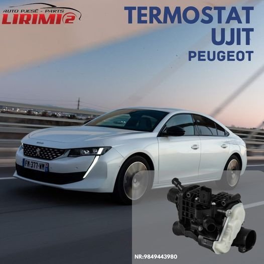 Termostat Ujit Peugeot