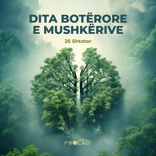 Dita Botërore e Mushkërive