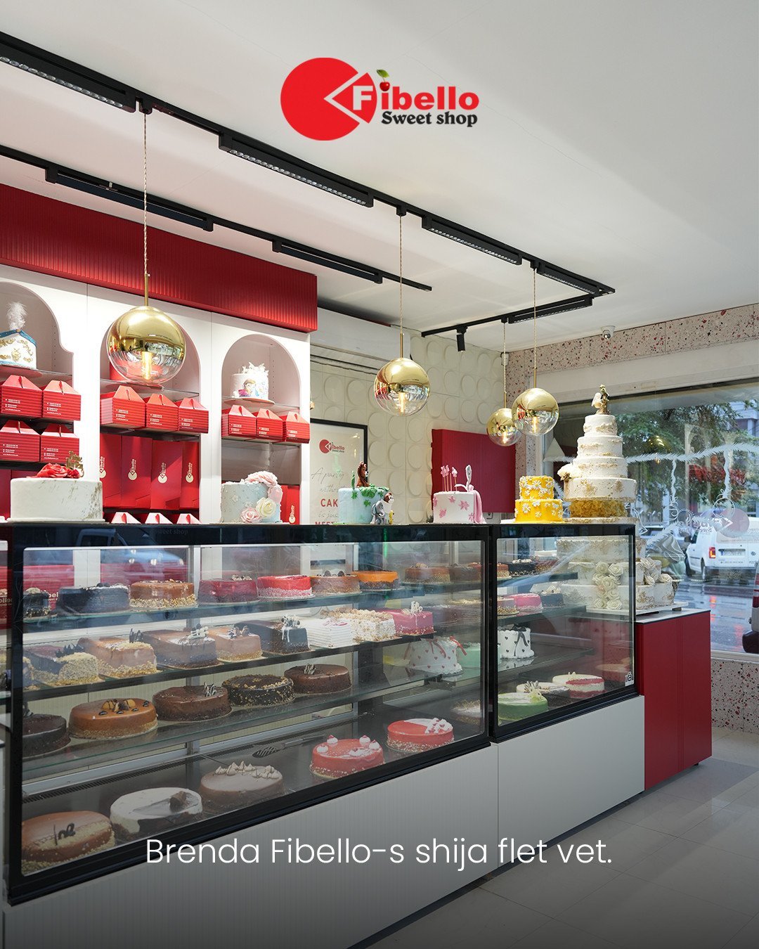 Brenda Fibello-s shija flet vet