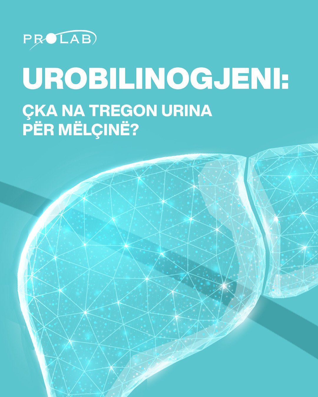 Si formohet urobilinogjeni?