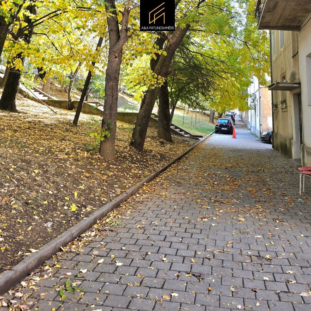 Thumbnail image 14