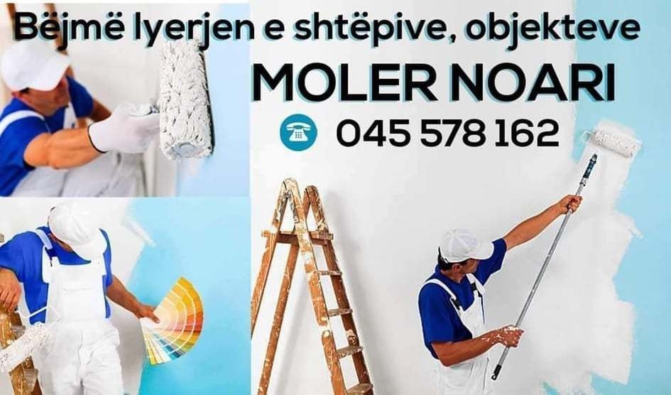 Moler Noari