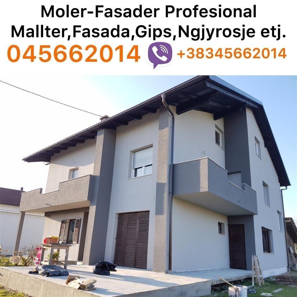 Moler/Fasader Profesional