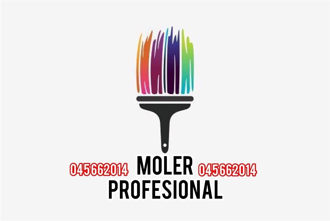 Moler Profesional