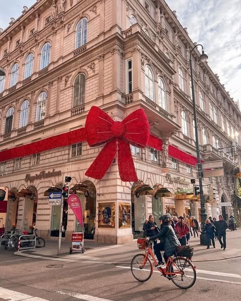 Gjate vizitës në VIENE