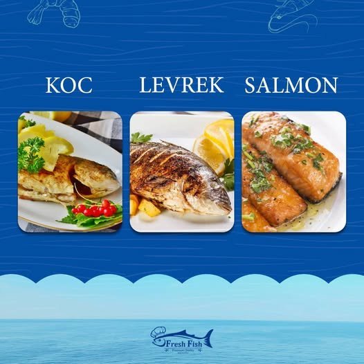 Koc, levrek apo salmon për këtë fillim javë