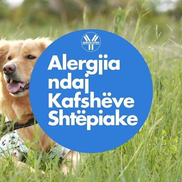 Alergjia ndaj kafshëve shtëpiake