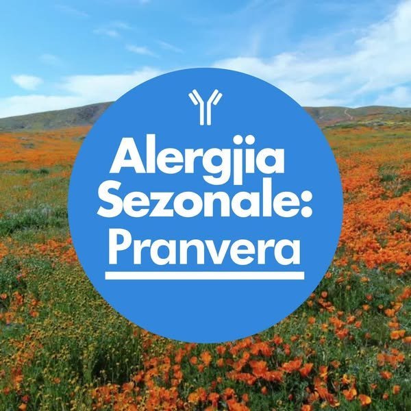 Alergjia Sezonale