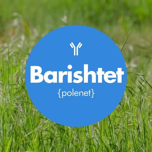 Barishtet