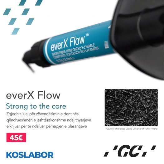 EverX Flow - Strong to the core