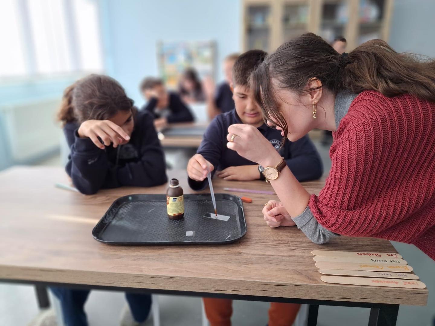 5th grade scientists are exploring the fascinating world of cells as they observe onion cells under the microscope