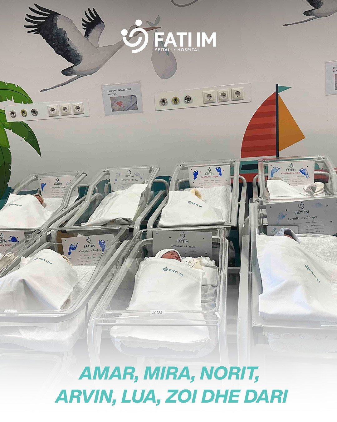 Amar, Mira, Norit, Arvin, Lua, Zoi dhe Dari
