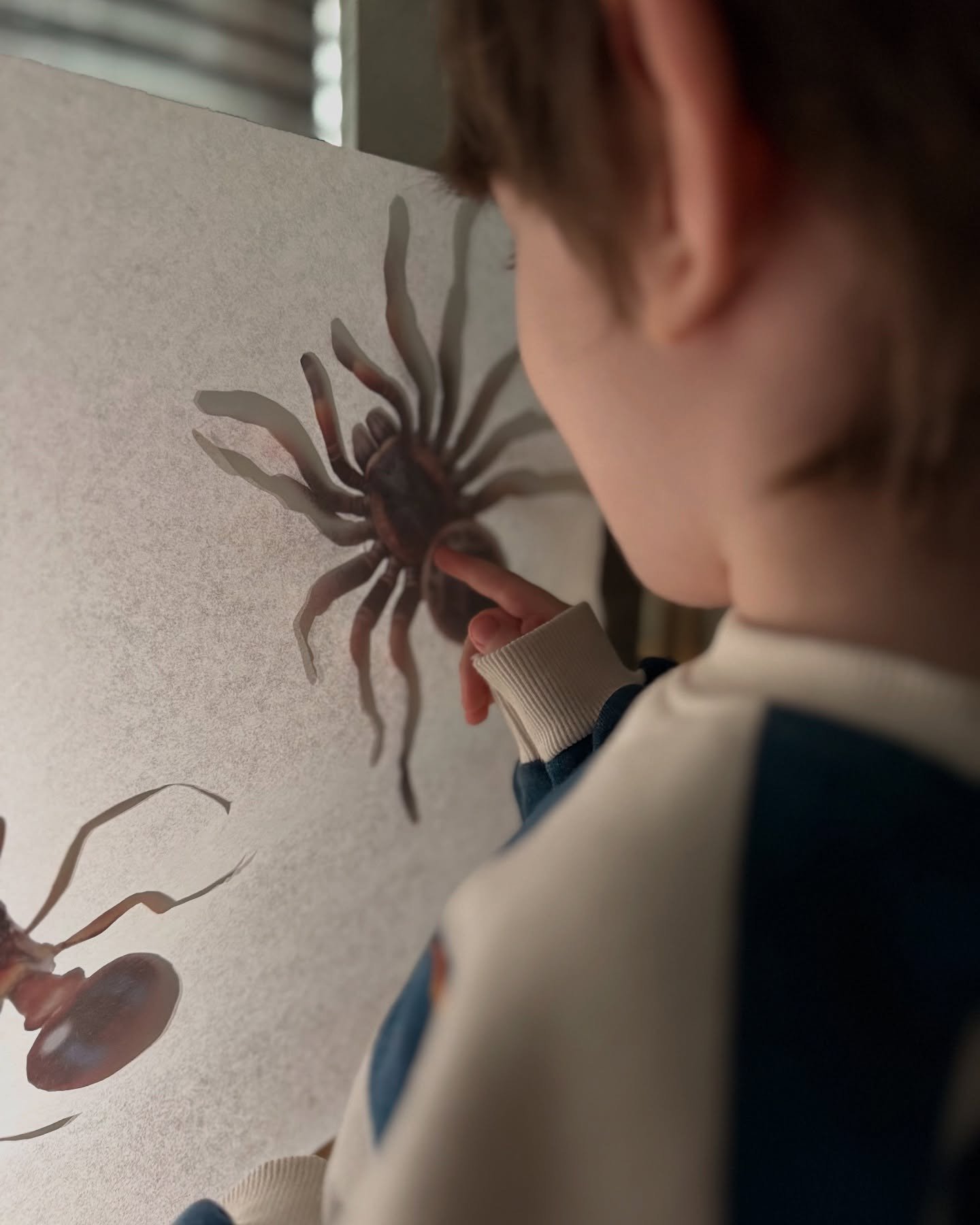 Një udhëtim kreativ në botën e insekteve përmes teatrit të hijes
