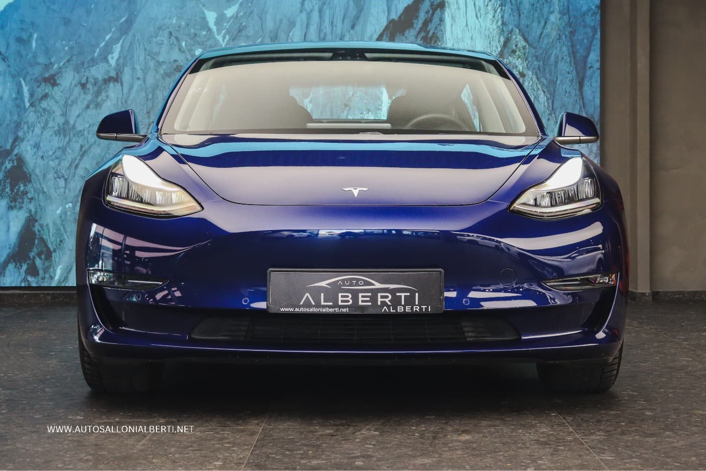 TESLA MODEL 3 LONG RANGE