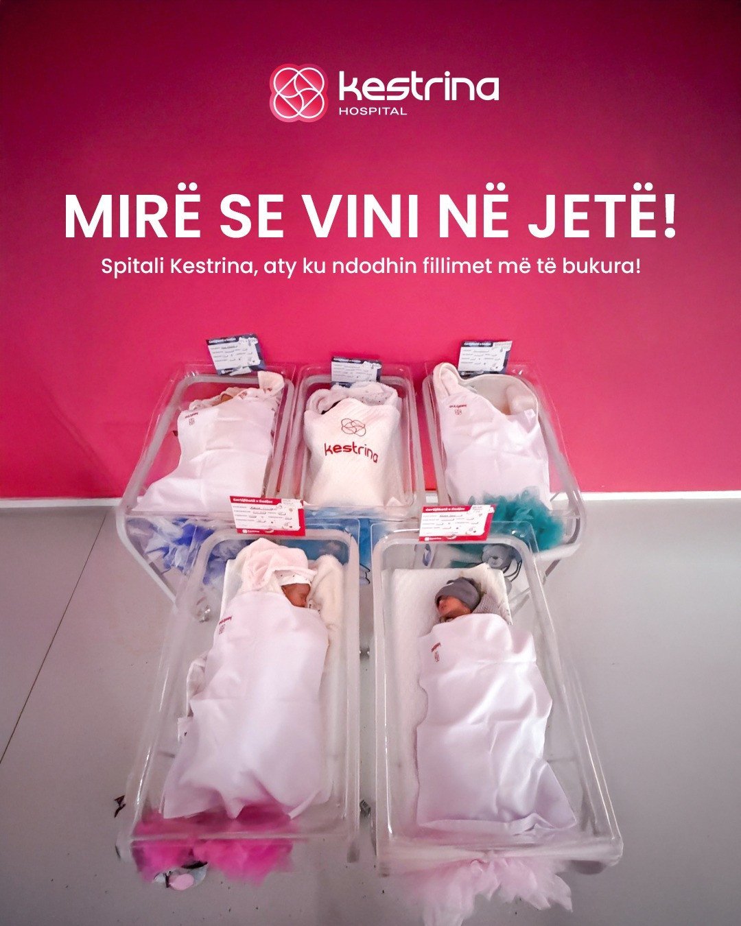 Pesë foshnje të shëndetshme erdhën në jetë