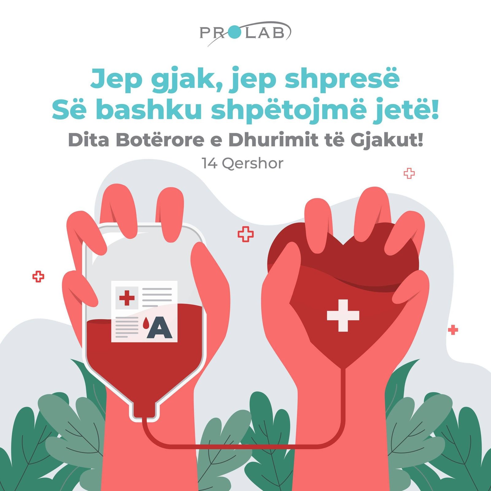 Sot, le të kujtojmë se një akt i vogël mund të bëjë ndryshimin më të madh