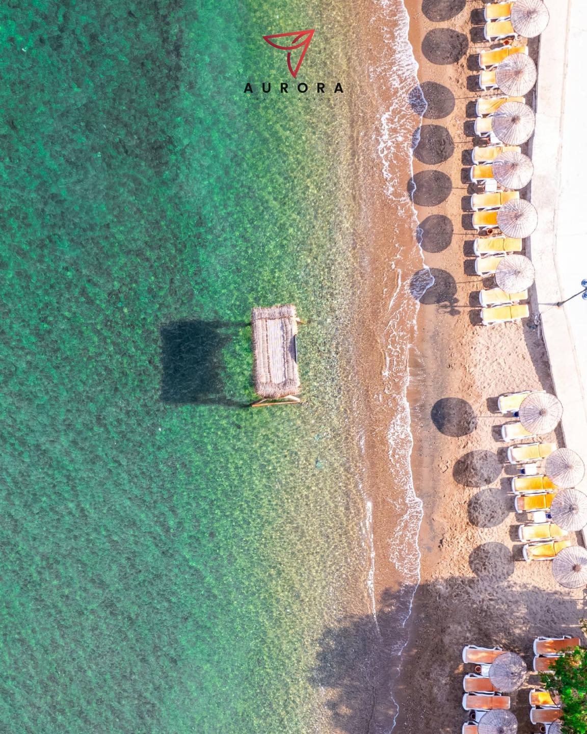 Thumbnail image 3