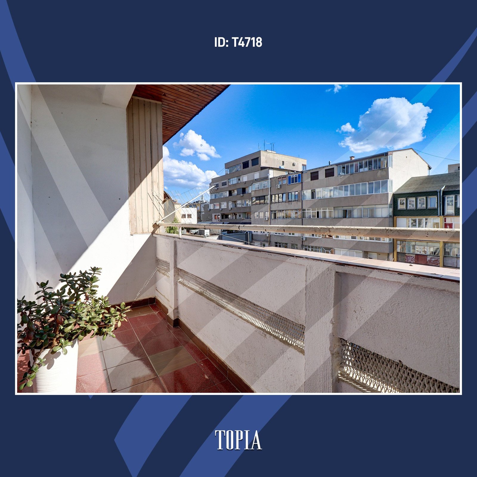 Thumbnail image 6
