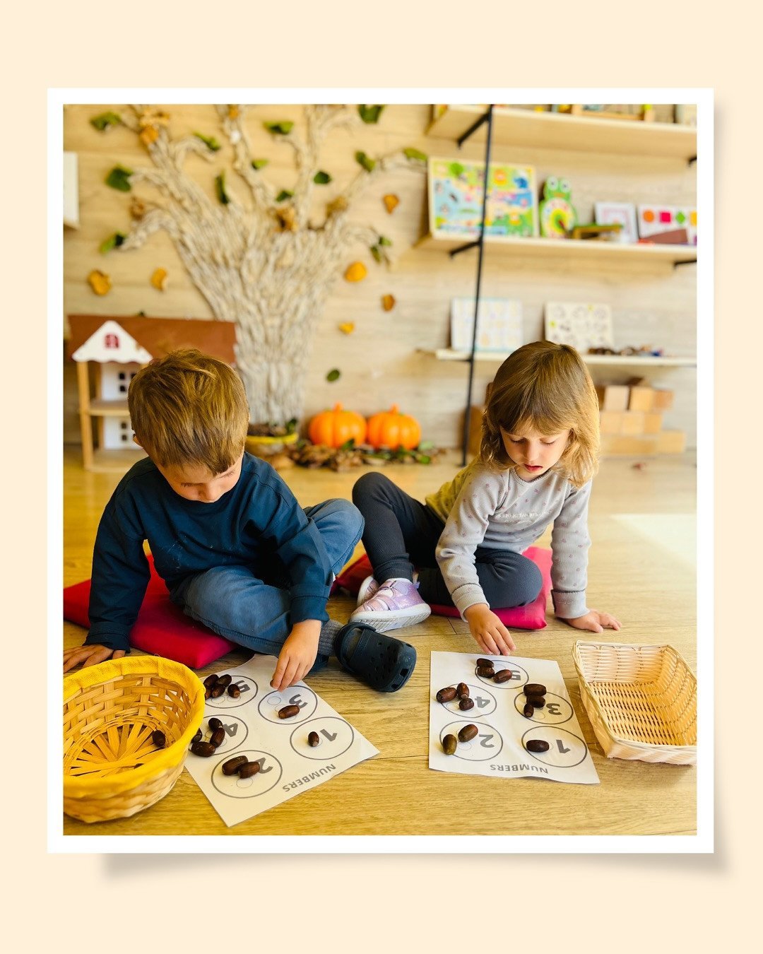 Fëmijët numëruan lajthitë dhe i vendosën sipas numrave në fletët e tyre