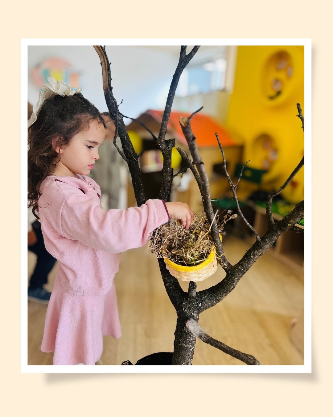 Fëmijët ndërtuan foletë e zogjve duke përdorur degë dhe barishte natyrale