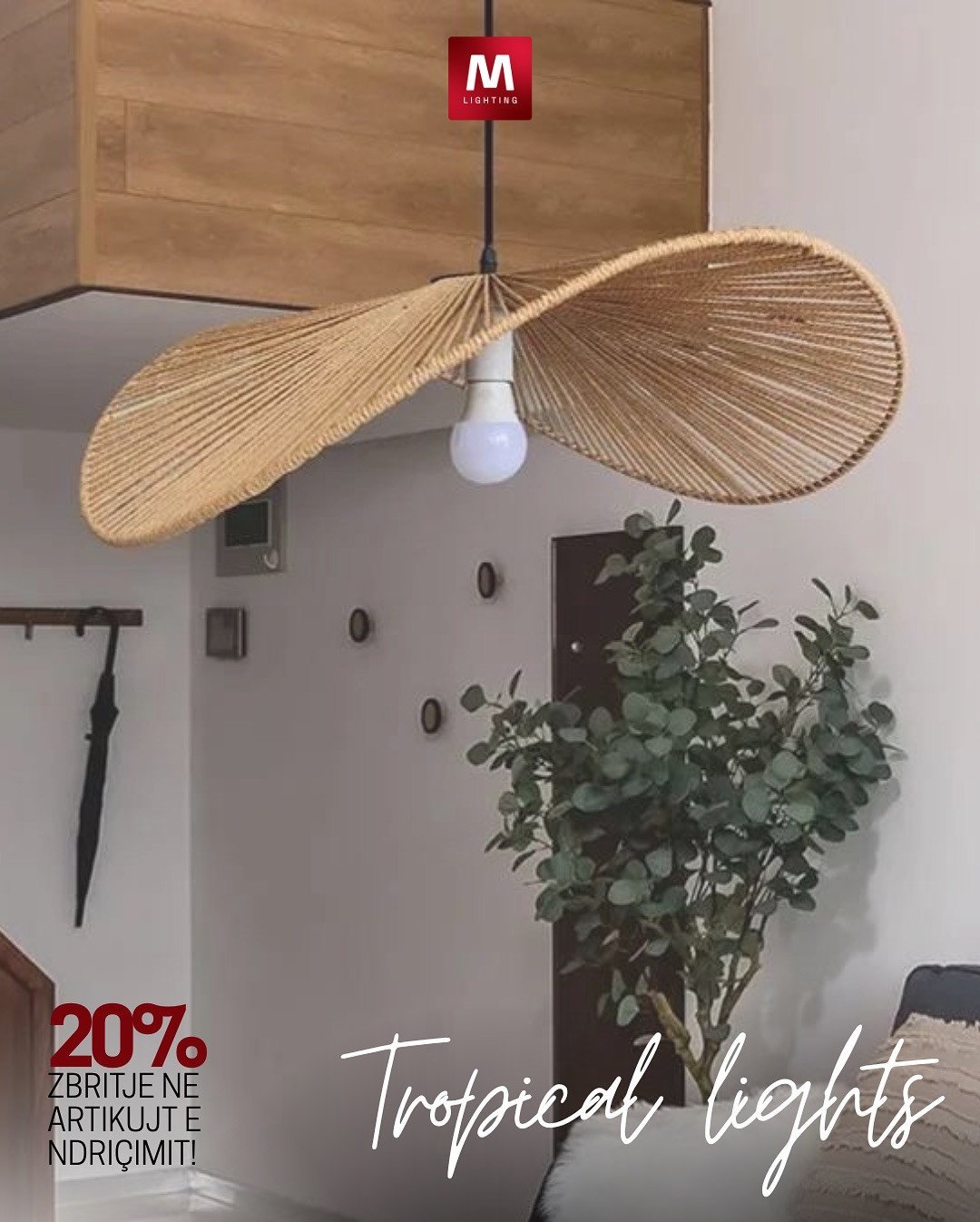 Ngrohtësia e tropikut, tani në çdo cep të shtëpisë