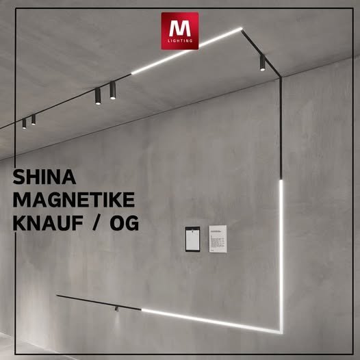 Shina magnetike