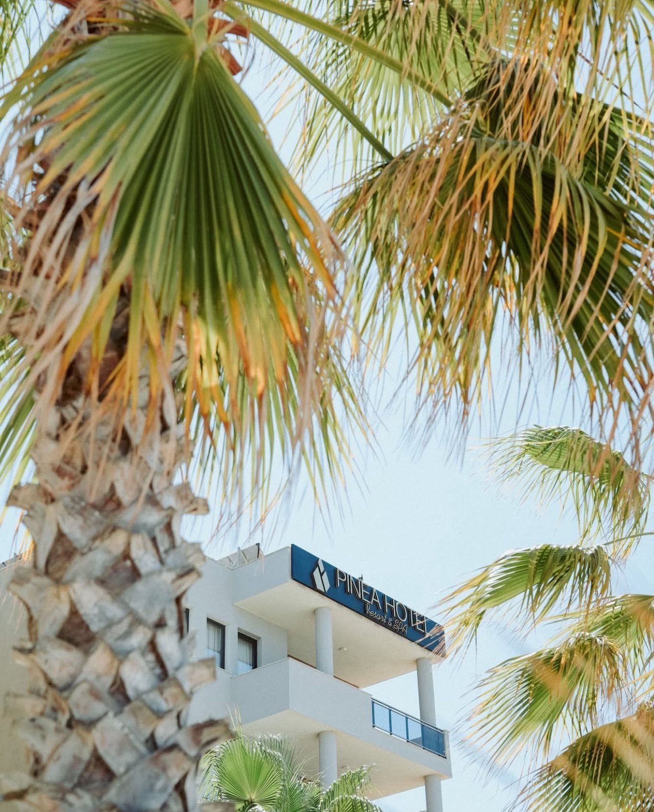 Blue skies,palm trees, and your new favorite getaway