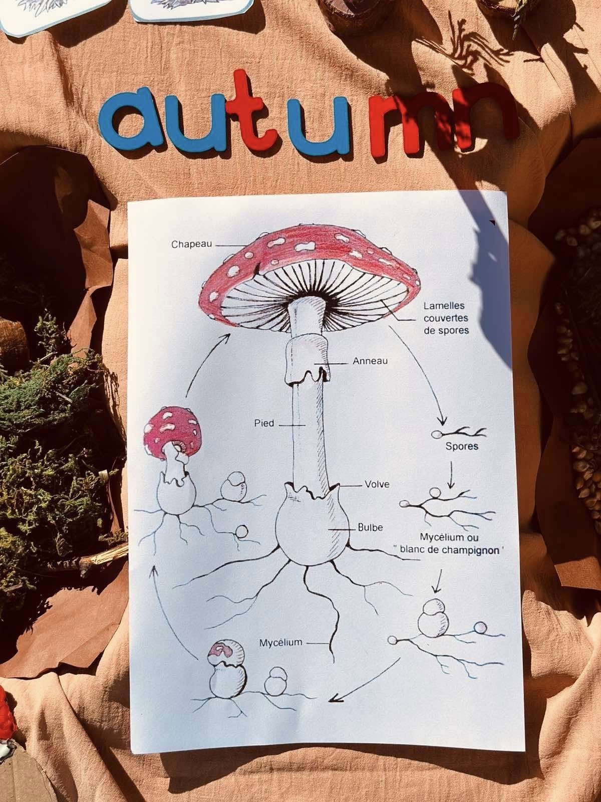 Fillimi i ditës me një mëngjes të ngrohtë