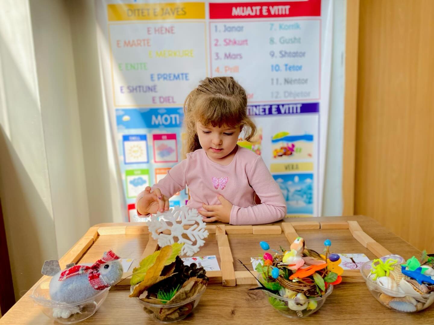 Mësojmë për katër stinët dhe krijojmë stinën tonë të preferuar