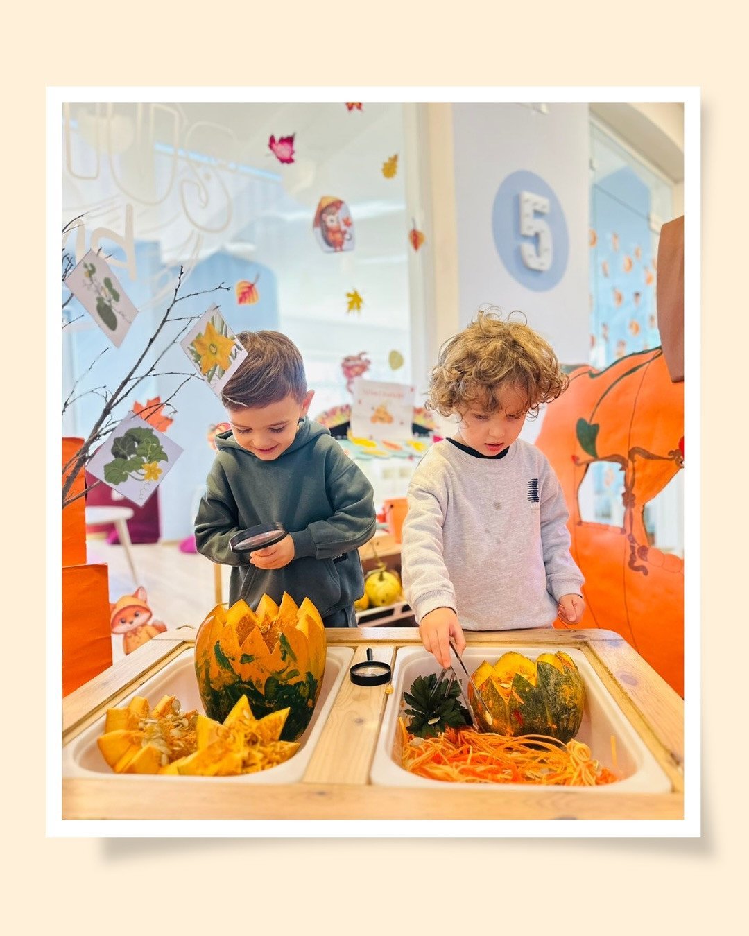 Sot fëmijët u njohën me pjeset e kungullit