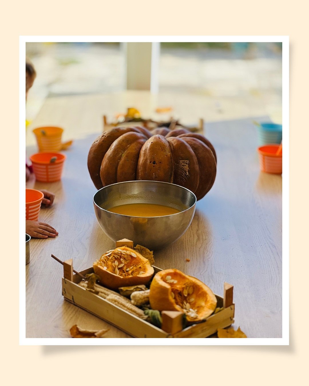 Nga duart e vogla dalin shije të mëdha – supa jonë e kungullit është gati