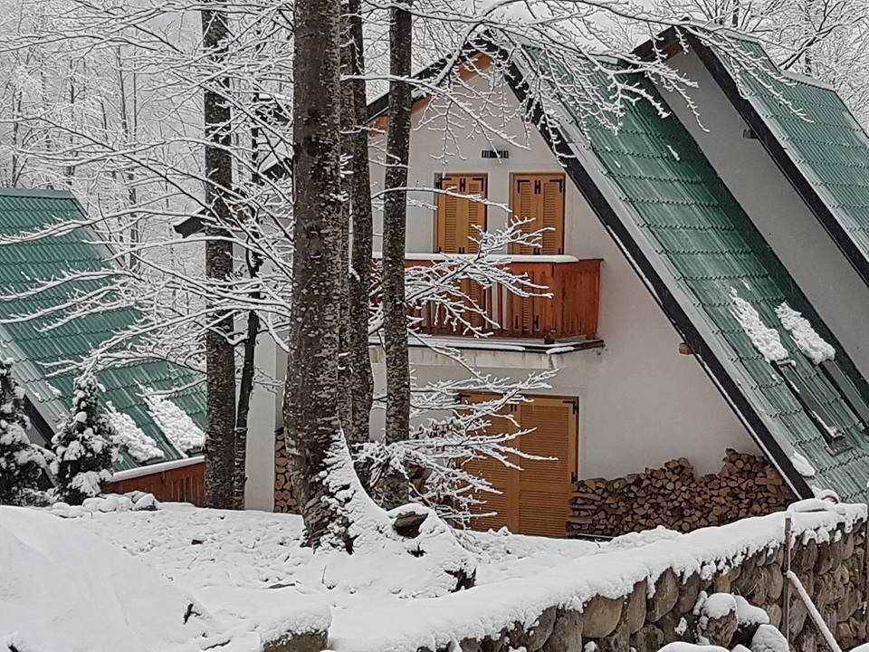 Villa Driloni me qera