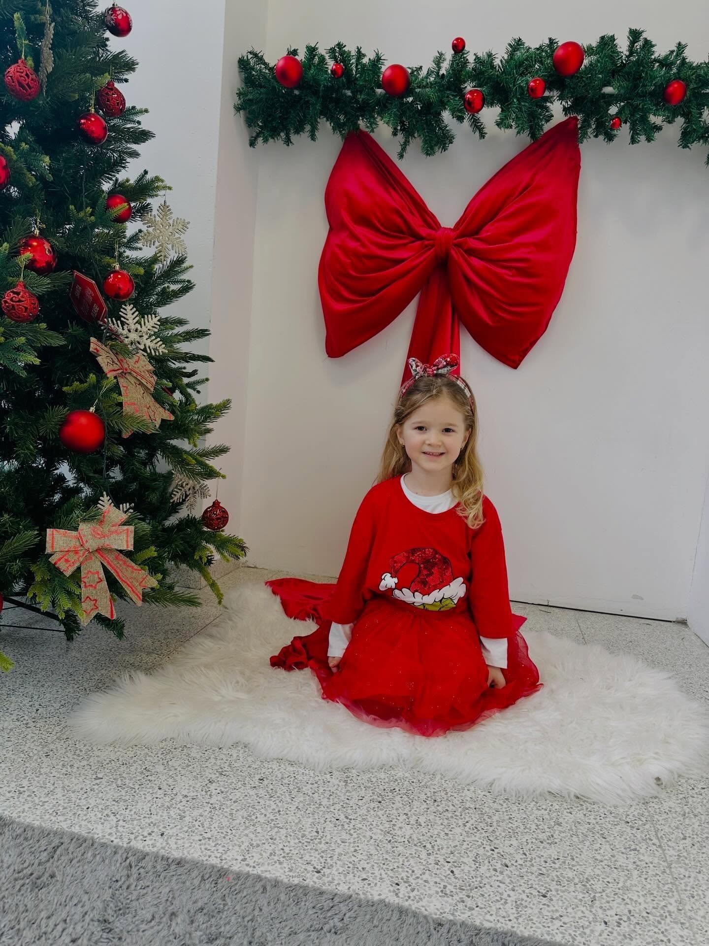 Viti i Ri në kopshtin tonë