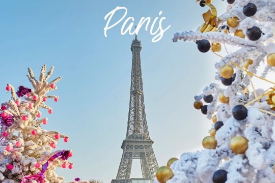 Aurora Travel-Udhëtim në Paris