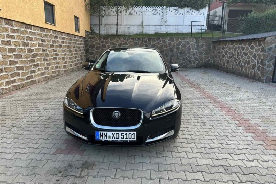 Shitet jaguar