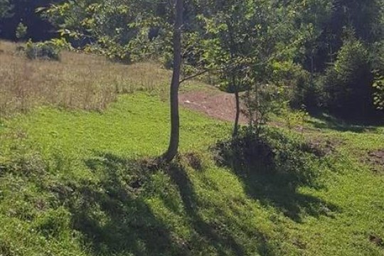 SHITEN 65ari tokë në fshatin Drelaj,në Rugovë