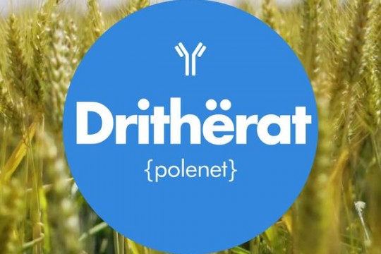 Alergjia-Astma -Dritherat Poleni